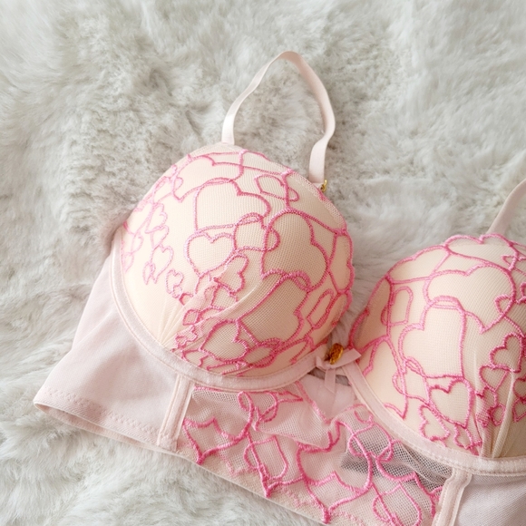🩷DAISY FUENTES BRAND NEW HEART EMBROIDERED BRA SIZE 34C - Picture 2 of 5